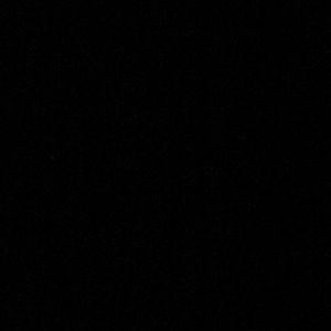 Meet your Posher, Beau